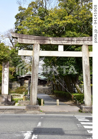 静岡県三島市 三嶋大社の祓所神社前参道と鳥居と新緑 静岡県三島市 三嶋大社の祓所神社前参道と鳥居と新緑 94145908
