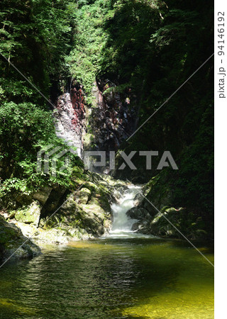 清流で名高い尾白川渓谷 清流で名高い尾白川渓谷 94146192
