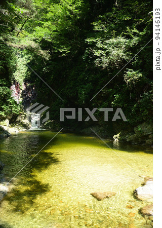 清流で名高い尾白川渓谷 清流で名高い尾白川渓谷 94146193