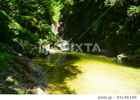 清流で名高い尾白川渓谷 清流で名高い尾白川渓谷 94146199