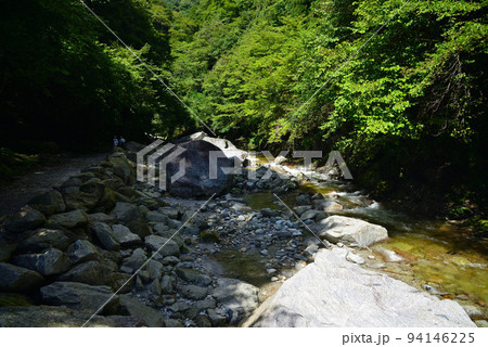 清流で名高い尾白川渓谷 清流で名高い尾白川渓谷 94146225