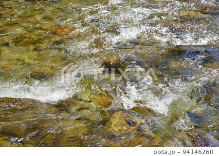 清流で名高い尾白川渓谷 清流で名高い尾白川渓谷 94146260