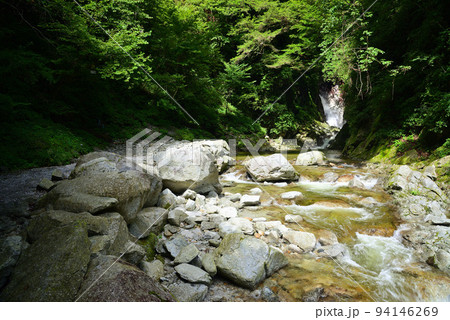 清流で名高い尾白川渓谷 清流で名高い尾白川渓谷 94146269