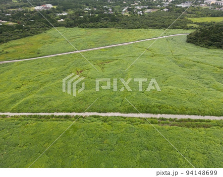 《神奈川》仙石原その3 94148699