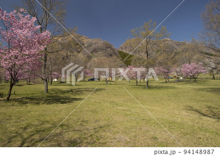 鍋の平キャンプ場と桜 鍋の平キャンプ場と桜 94148987