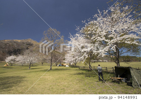 鍋の平キャンプ場と桜 鍋の平キャンプ場と桜 94148991