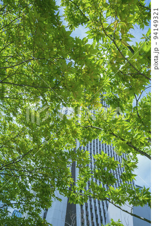 東京都新宿区のオフィス街の高層ビルが立ち並ぶ風景 東京都新宿区のオフィス街の高層ビルが立ち並ぶ風景 94149321