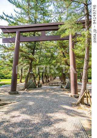 出雲大社 松の参道 鳥居(島根県出雲市) 出雲大社 松の参道 鳥居(島根県出雲市) 94149746
