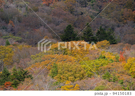 紅葉する山 紅葉する山 94150183