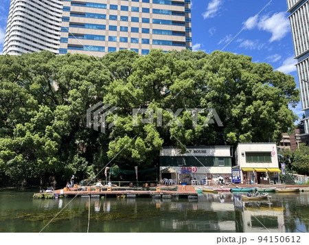 都会のオアシスとそこにある釣り堀 94150612