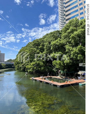 都会のオアシスとそこにある釣り堀 都会のオアシスとそこにある釣り堀 94150616