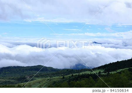 志賀草津高原ルートから見る雲海 94150634