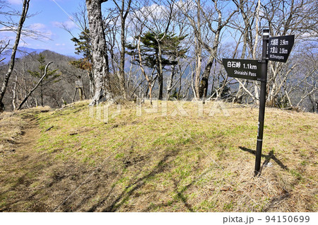 丹沢の甲相国境尾根 前大室山頂 丹沢の甲相国境尾根 前大室山頂 94150699