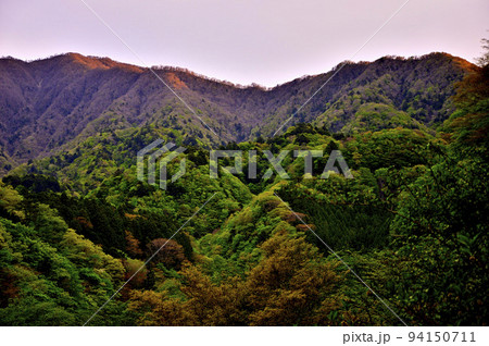 西丹沢 朝焼けの大室山 丹沢主稜 西丹沢 朝焼けの大室山 丹沢主稜 94150711
