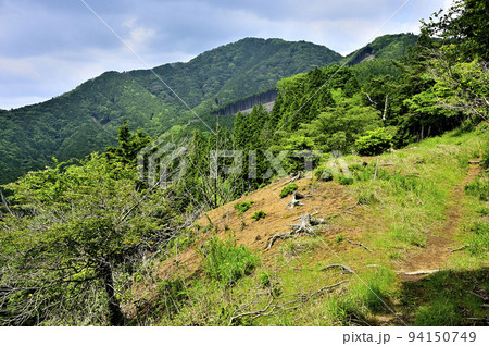 西丹沢の湯船山稜コース縦走路より白クラノ頭を望む 94150749