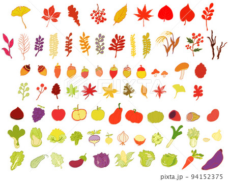 手描き秋の紅葉と食べ物のアイコンイラストセット 94152375