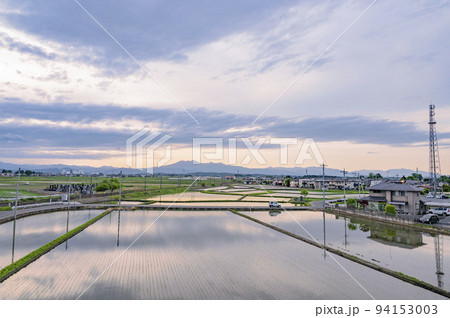 栃木　春の水田 94153003