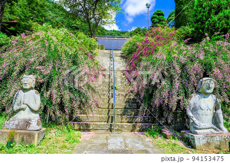 石仏と萩の花 石仏と萩の花 94153475