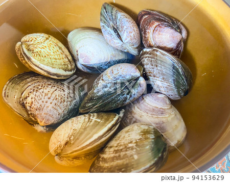 はまぐりの砂出し 94153629