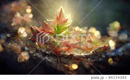 Vibrant fall foliage 94154393