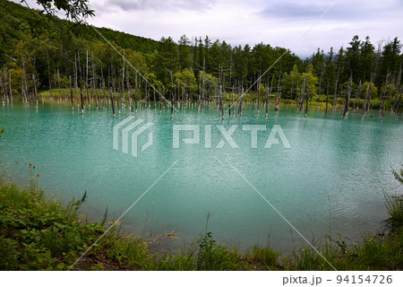 美瑛の神秘的な青い池 94154726