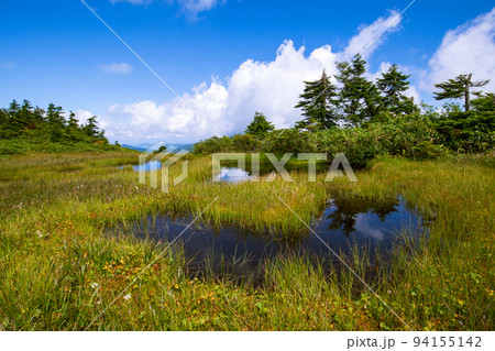 会津駒ヶ岳－中門岳間の池塘 94155142