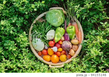 Top view of basket with many different vegetables herbs Top view of basket with many different vegetables herbs 94155146
