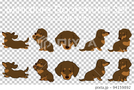 巧克力舌頭迷你臘腸犬插圖套裝帶/不帶主線 94159892