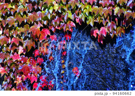 カラー　紅葉　秋　流水　公園　噴水（2022年9月登録） 94160662