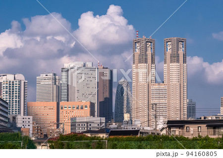《東京都》夏空の東京都市風景・新宿副都心 《東京都》夏空の東京都市風景・新宿副都心 94160805