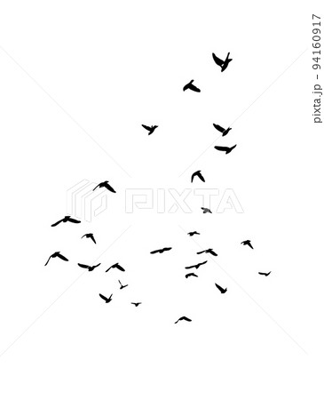 A flock of flying birds. Free birds. Vector illustration A flock of flying birds. Free birds. Vector illustration 94160917