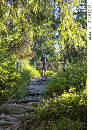 Hiker is walking on the footpath, High Tatras mountains, Slovakia Hiker is walking on the footpath, High Tatras mountains, Slovakia 94161216