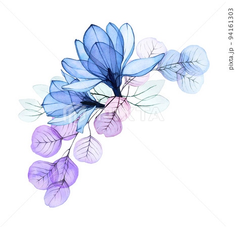 watercolor illustration, frame, border of transparent flowers. transparent magnolia flowers, pink and blue eucalyptus leaves. vintage design, pastel colors. decoration for wedding, perfumery, cosmetic watercolor illustration, frame, border of transparent flowers. transparent magnolia flowers, pink and blue eucalyptus leaves. vintage design, pastel colors. decoration for wedding, perfumery, cosmetic 94161303