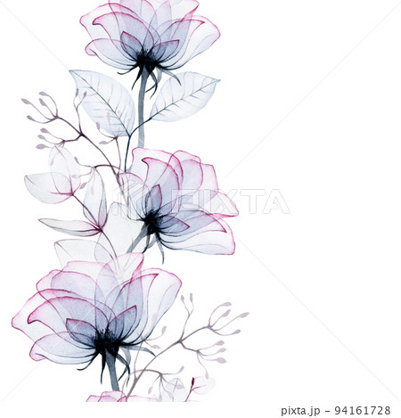 watercolor drawing, seamless border, frame of transparent flowers. transparent rose flowers and eucalyptus leaves, x-ray. vintage border isolated on white background for wedding, postcard.  94161728
