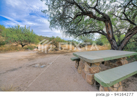 Picnic table near a burned tree on a campground near the saguaro cactuses on a slope at Tucson, AZ Picnic table near a burned tree on a campground near the saguaro cactuses on a slope at Tucson, AZ 94164277