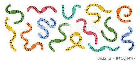 Set of colored curled earthworms. Compost earthworms line illustration. Terrestrial annelids worms. Invertebrate worms colored line banner. 94164447