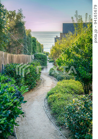 La Jolla, California- Sloped pathway in between bushes leading to the beach 94165679