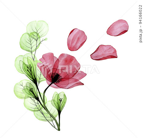watercolor drawing. bouquet of poppy flowers and eucalyptus leaves. flower arrangement of red poppy flowers and green leaves isolated on white background. clipart, decoration for greeting card 94166022