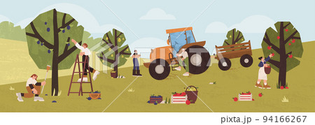 Flat people gathering fruits from trees in orchard Flat people gathering fruits from trees in orchard 94166267