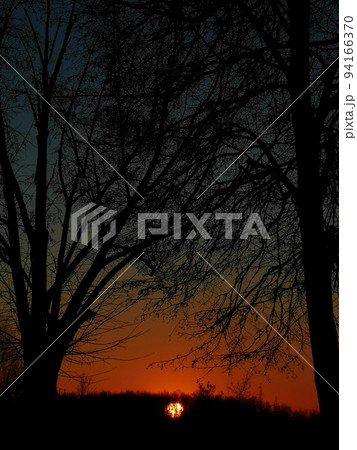 Tree silhouette against sunset sky background. Tree silhouette against sunset sky background. 94166370