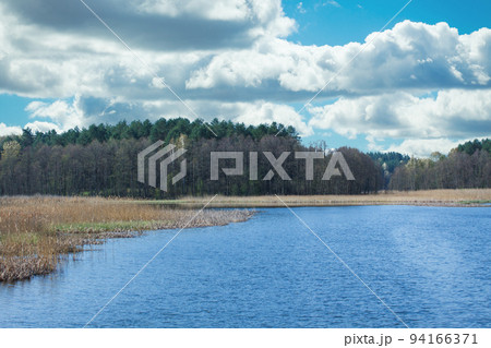 The shore of a lake in summer. The shore of a lake in summer. 94166371