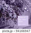 spring flowers on purple background, color of year 2023 94166947