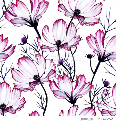 seamless pattern with transparent watercolor flowers cosmos, chamomile flowers on a white background. beautiful print for fabric, wallpaper, wrapping paper, scrapbooking with pink wildflowers seamless pattern with transparent watercolor flowers cosmos, chamomile flowers on a white background. beautiful print for fabric, wallpaper, wrapping paper, scrapbooking with pink wildflowers 94167252