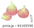 夏〜秋の果物、イチジク（無花果）の水彩画イラスト 94169596