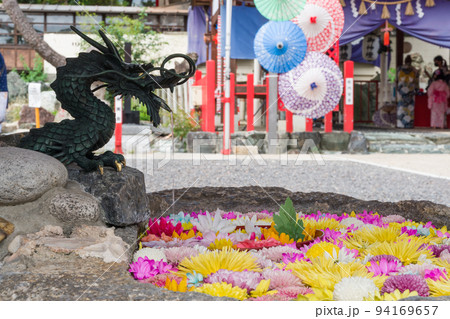 別小江神社の花手水(重陽の節句)・名古屋市 別小江神社の花手水(重陽の節句)・名古屋市 94169657