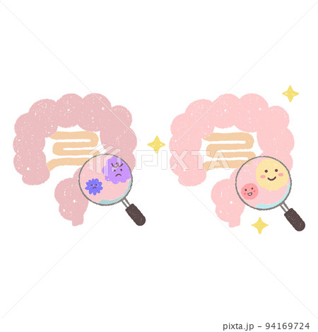 手描きの腸内と拡大鏡で見る腸内細菌のセット 手描きの腸内と拡大鏡で見る腸内細菌のセット 94169724