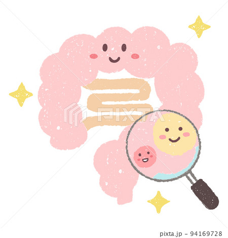 手描きの拡大鏡で見る善玉菌と健康な腸内 94169728