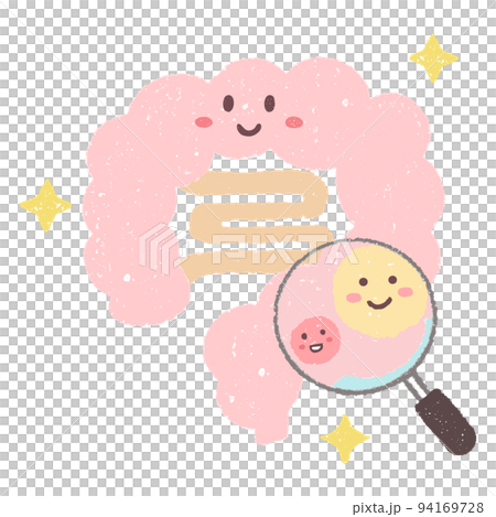 手描きの拡大鏡で見る善玉菌と健康な腸内 94169728