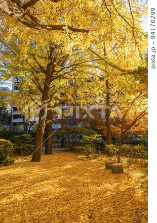 紅葉した木々　清水谷公園　秋　東京都千代田区紀尾井町 94170299