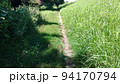 散歩道 94170794